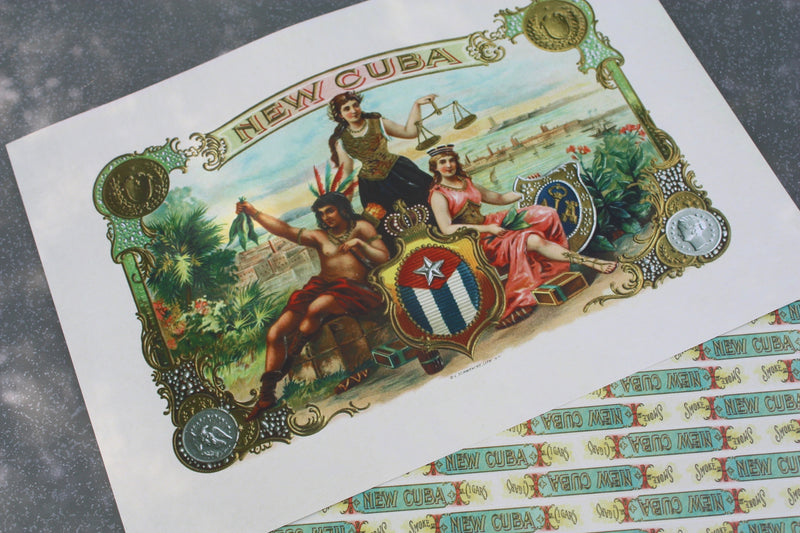 Humbucker 3 String Guitar Kit. Plain Box and repro cigar box.