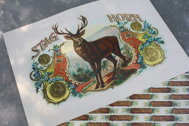 Humbucker 3 String Guitar Kit. Plain Box and repro cigar box.