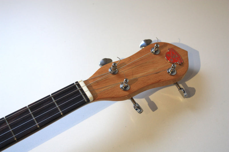 Ashton - 4 string cigar box tenor guitar