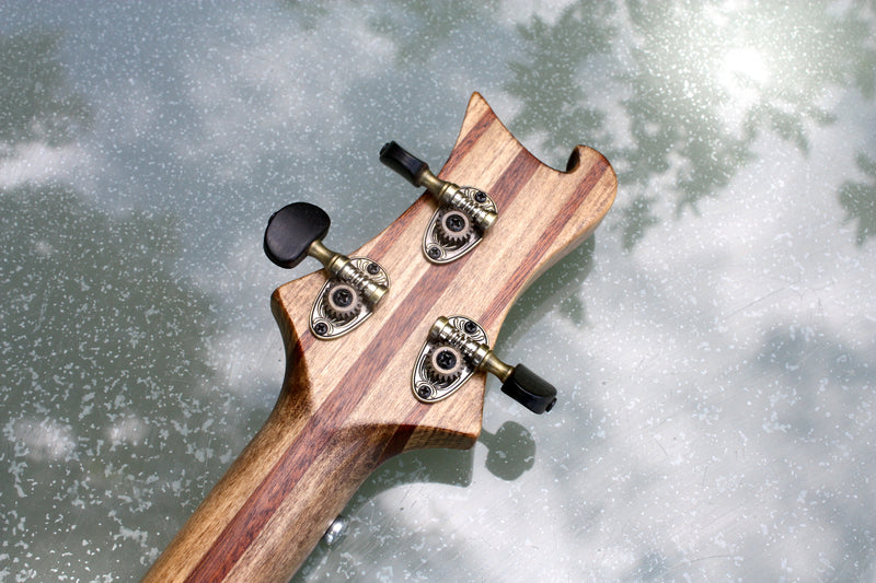 The Scaffold Board - 3 String Guitar