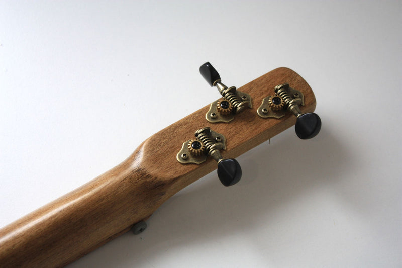Workshop Series - Dark Oak 3 String Cigar Box Guitar