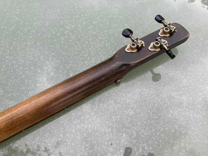 Workshop Series - "Hoodoo Spirit" sage green - 3 string cigar box guitar